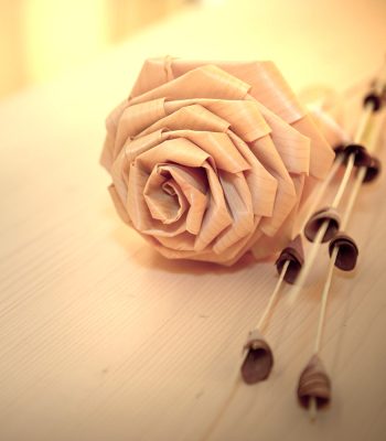 Schoosleitner-home-box-3-2025 Schoosleitner Bestattung Garten der Ruhe